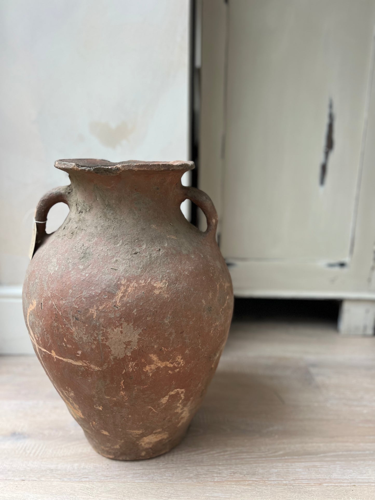 The Ceyda Pot